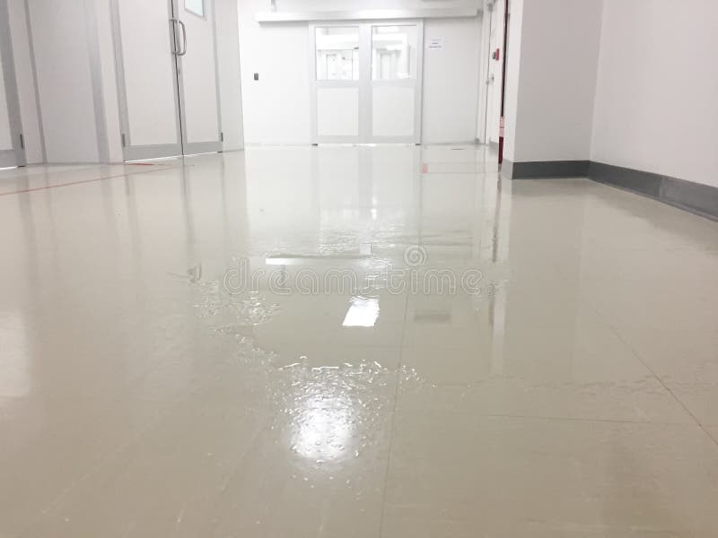 zuecos para entornos mojados